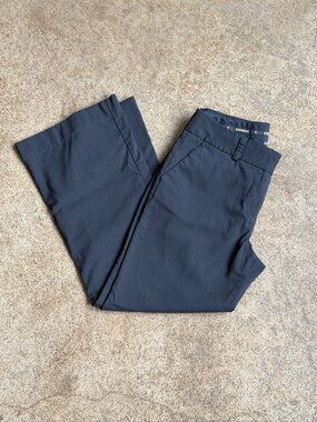 Express Black Correspondent Pants